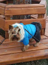 Jacket Bulldog-Clothing Pet-Coat Puppy Dogs Pug Chihuahua French Waterproof Winter Small