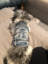 Ropa vaquera de XS-2XL para perro, abrigo para perros, ropa de cachorro, pantalones vaqueros para perro, chaqueta, chaleco abrigo para perro, trajes para cachorro, ropa para gato