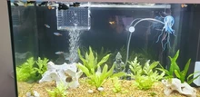 Production-Box Aquarium-Box Isolation-Net Tropical-Fish-Breeding-Box Fish-Tank Acrylic