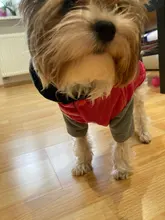 Coat Pet-Dog-Jacket Winter Puppy Hood-Size Warm with 8-18 5-Colors Thickening