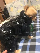 Ropa de abrigo para Perros Bulldog Francés, Ropa de cachorro, Chihuahua, yorkie, abrigo de perrito mascota, chaqueta, perros, mascotas