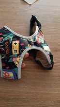 Nylon Dog Cat Harness Printed French Bulldog Harness Puppy Small Dogs Harnesses Vest