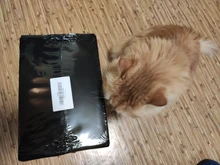 DEKO-PISTOLA DE PULVERIZACIÓN, pulverizador de pintura eléctrico de alta Casa de poder, 220V, 3 boquillas, fácil de rociar y limpiar, perfecto para principiantes