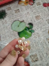 Anillo chapado en oro para mujer, elegante perla de imitación, anillos de apertura ajustables