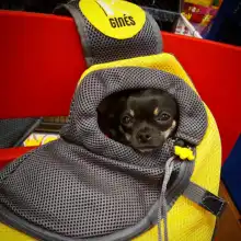 Backpack Pet-Carrier Tote-Shoulder-Bag Puppy Front-Mesh Travel Cat by Bowl Silicone