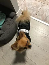 Dog-Hoodie Jacket Coat Pets-Clothing Puppy Warm Dog Small-Dogs Winter Cheap for Ropa-Perro