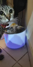 2.4L Automatic Cat Water Fountain LED Electric Mute Water Feeder USB Dog Pet Drinker