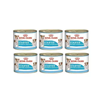 

Royal Canin Starter Mousse Mother AND Babydog Pack 6 Latas de 195 Gramos
