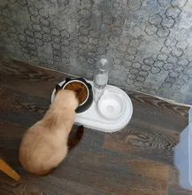 600ml Pet Dog Cat Automatic Feeder Bowl for Dogs Drinking Water Bottle Kitten Bowls Slow