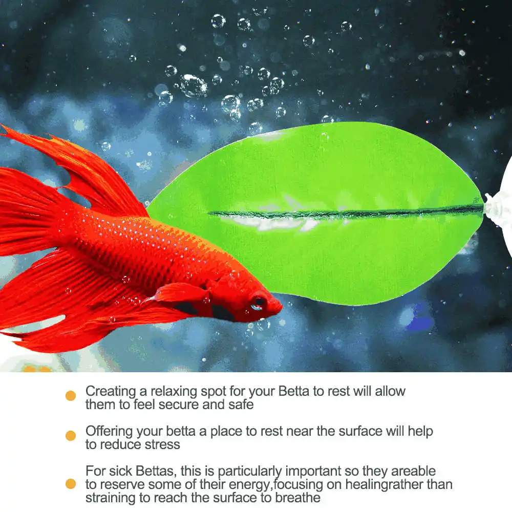 Betta Fish Leaf Pad аквариум пейзаж пластиковые на присосках гамак для рыбок-Петушков