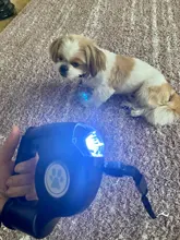 Leash Flashlight Extendable Lead Pet-Dog with Garbage-Bag
