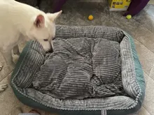 Bed Pet-Bed Labradors-House HOOPET Small Large Soft Warm Winter for Medium Big