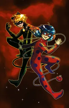 

Tales of Ladybug and Cat Noir Patterned Carpet ,Non Slip Floor Carpet,Teen's Carpet,Kid's Carpet,Turkish Rug
