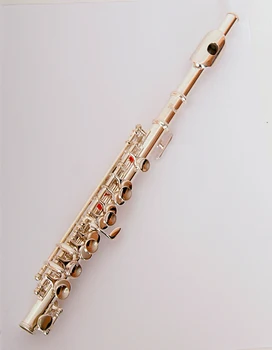 

FLT-PC-S flute Piccolo conductor