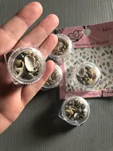 Caja de Mini conchas de estrellas de mar para decoración de uñas, adornos de estrellas de mar, herramientas de manicura, 1/2/5 unidades