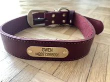 Leash-Set Lead Pet-Collars Dogs Pitbull Small Walking Real-Leather Personalized And 