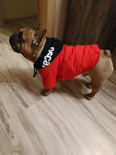 Jacket French Bulldog Dog Winter SUPREPET Coat Pet-Dog Dogs Large Cotton for Warm Perro