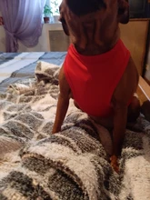 Ropa de perro para perros pequeños estampado bonito verano mascotas camiseta perro ropa chaleco para gatos mascota de algodón de T camisa Pug ropa trajes