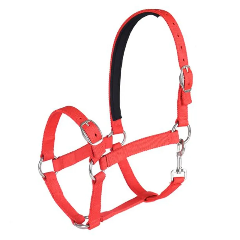 Cavassion Adjustable Pp Equestrian Bridle Saddlery Equipment When