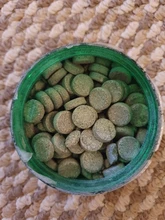 Fish-Tank Pills Algae Aquarium Tropical-Catfish Spirulina Wafer