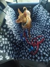 Portadores Del Perro Huella PERRERA CARAMELO Impermeable Trasero Hacia Atrás la Cubierta de Asiento de Coche Perro Esteras Hamaca Protector Con Cinturón de Seguridad D1010