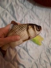 Doll-Pillow Cat-Toy Cat Mint Simulation-Fish Grass-Carp Funny New Pet-Molar