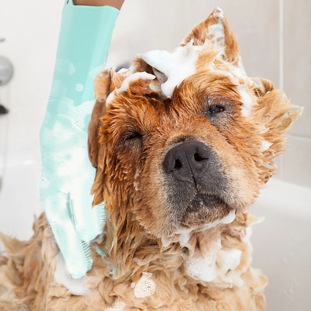 HTB1qXR1KPTpK1RjSZKPq6y3UpXai