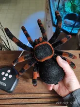 Control remoto para mascotas, simulación electrónica de tarantula, ojos brillantes, araña negra inteligente, 4 canales, broma, terrorífico, juguete para regalo