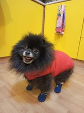 Vest Dog Jacket French Bulldog Waterproof Coat Pet-Outfit Dogs-Pet Winter Large Medium