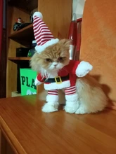 Costume Cat Jacket Christmas Dogs Small Santa-Claus Winter Large for Funny Dog-Coat Warm