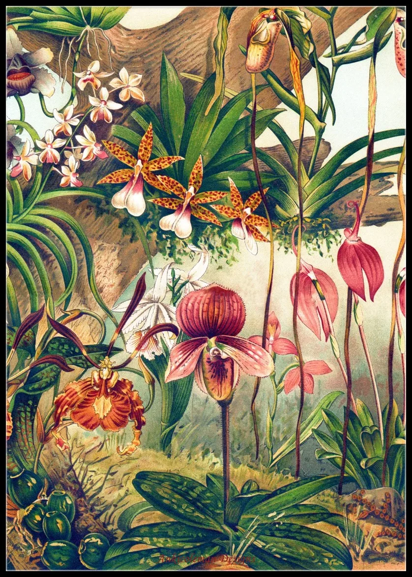 

Orchids - Counted Cross Stitch Kits - DIY Handmade Needlework for Embroidery 14 ct Cross Stitch Sets DMC Color