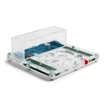 

Ant Farm Educational Kit (Free Ants with Queen)