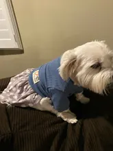 Dog-Dress Dogs-Skirt Yorkshire Summer Chihuahau Dot 