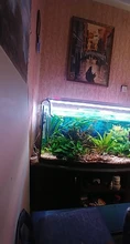 Lily-Pipe AQUARIUM-FILTER Planted Outflow Surface-Skimmer Stainless-Steel with And 