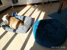 Bed Cushion House Sofa Pet-Products Dogs-Basket Cat-Bed Animals Round Plush Soft Best