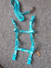 Leash-Set Harnesses Name-Tag Cats Kitten Customized Anti-Lost Nylon And with Blue Red