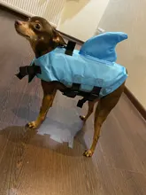 Chaleco salvavidas para perro, chaqueta salvavidas, ropa de baño para perros, traje de baño para mascotas, forma de tiburón