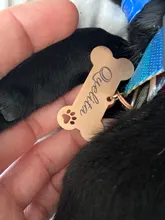 Collar personalizado para mascotas, etiqueta de identificación grabada con nombre de Mascota para gato, cachorro, perro, colgante, llavero, accesorios para mascotas