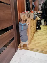 Coat-Jackets Fleece Vest Pug-Costumes Dogs French-Bulldog Chihuahua Winter Small Medium