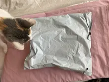 Arnés antirpérdida para gatos y perros, correa de chaleco, collar, Gargantilla, accesorios para chihuahua