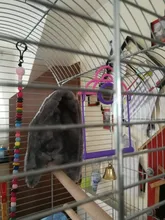 Cage-Accessories Bird Hammock Birds Parrot Warm Small Hanging-Tent Parakeet Hideout Winter