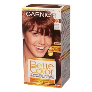 

GARNIER Belle Color-Dye N ° 28-Chestnut Brown Lifelike