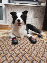 Shoes Reflector Dog-Boots Dogs-Paws Truelove Small Outdoor Large Footwear Pet-Dog Pu