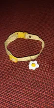 Collar de gatito con cascabel para gatos, Collar ajustable de separación para gatos, suministros para mascotas, Collier para Chat para gatitos