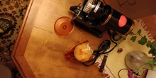 Coffee-Grinder-Machine To And 110V 220V with Plug-Adapter Black-Color 240V