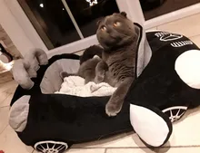 Dog-Beds Pet-Products Puppy-Cat-House Cama Cats Dogs Small Luxury Cushion Dog-Sleeping-Kneel