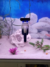 Cleaner Magnets-Brush Glass-Algae Aquarium Fish-Tank Scraper Practical Floating