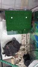 Plataforma de descanso de tortuga para decoración de Acuario, acuarios acrílicos de Isla Tortuga, secado de musgo, césped simulado para terraza