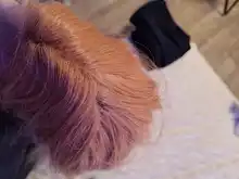 Xtrend sintético peluca con malla frontal Rosa largo rojo cobrizo naranja púrpura Ombre gris blanco Rubio pelucas para mujeres del pelo de la onda de la mujer