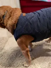 Dog Winter Bulldog-Coat Chihuahu Small French Outfit Puppy Medium Warm 